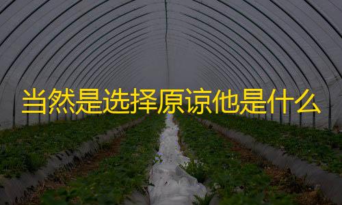 免实名认证游戏当然是选择原谅他是什么梗
